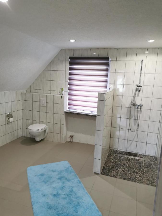 Am Belz Apartment Lebach Exterior photo